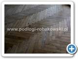 Jodła 11